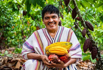 Agricultura con identidad: El cultivo del cacao como motor de desarrollo local