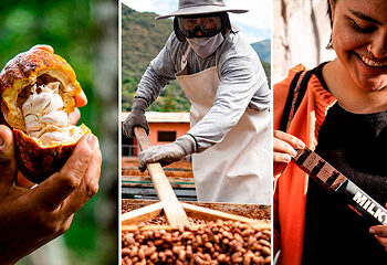 Secretos del tostado y secado: El camino hacia el sabor perfecto